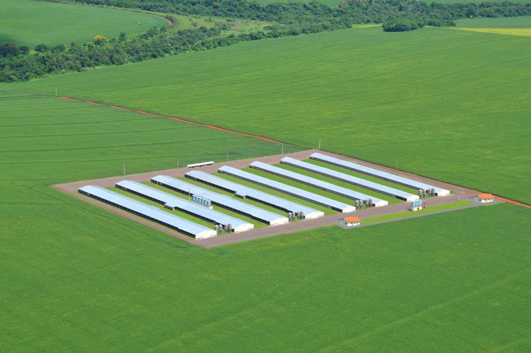 Vista aérea de aviário da Cooperativa agroindustrial C. Vale, em Toledo (PR)