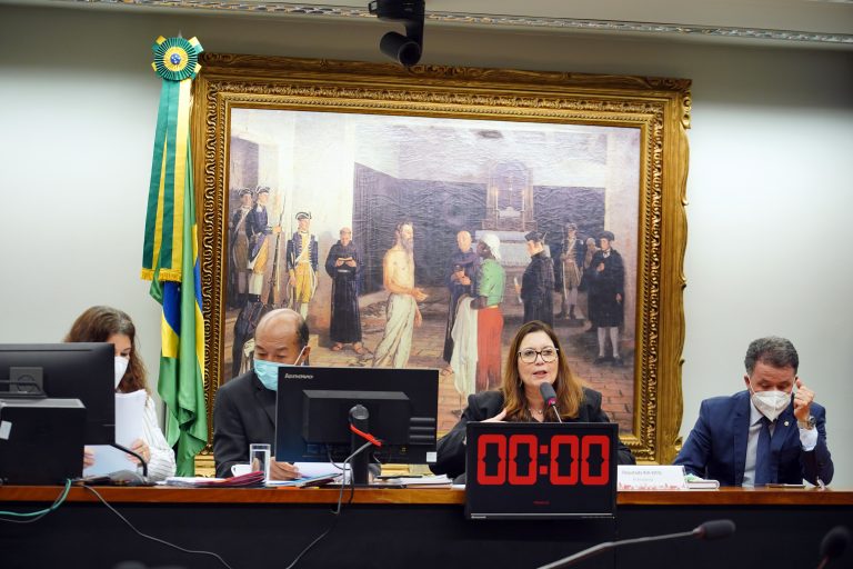 Reunião Extraordinária. Dep. Bia Kicis(PSL - DF)