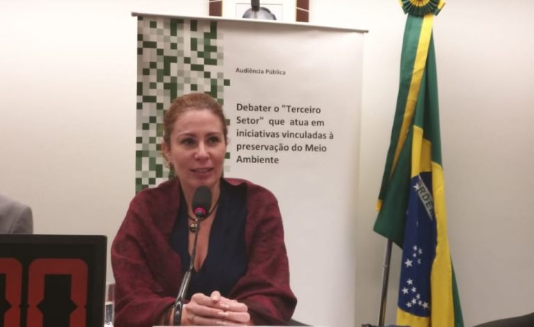 Carla Zambelli preside reunião da comissão