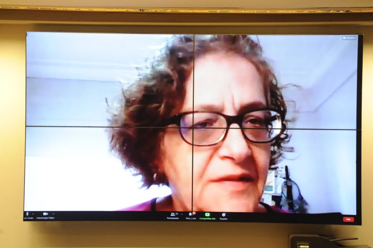 Audiência Pública - Inclusão pela OMS de Velhice na Classificação Internacional de Doenças. Coordenadora da Saúde da Pessoa Idosa do Ministério da Sáude, Maria Cristina Hoffmann