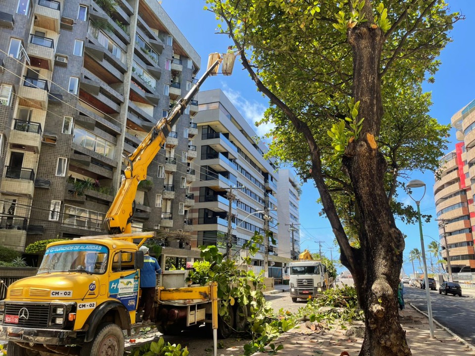 Sudes realiza poda de árvores na Ponta Verde. Foto: Ascom Sudes