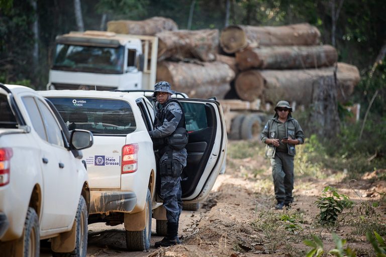 Meio Ambiente - queimada e desmatamento - madeireira ilegal - Operação Amazônia fiscaliza municípios que mais desmatam em Mato Grosso