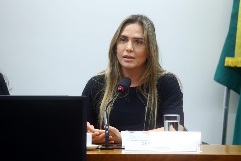 Celina Leão participa de reunião de comissão