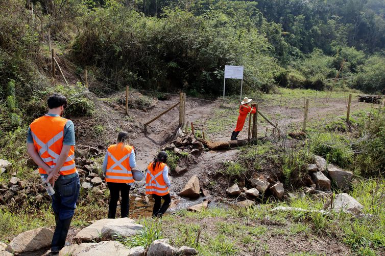  Experimento de restauração florestal em área sob influência de rejeitos da barragem de Fundão, trecho do rio Gualaxo do Norte, um dos principais afluentes do rio Doce, que abrange os municípios de Mariana, Ouro Preto e Barra Longa