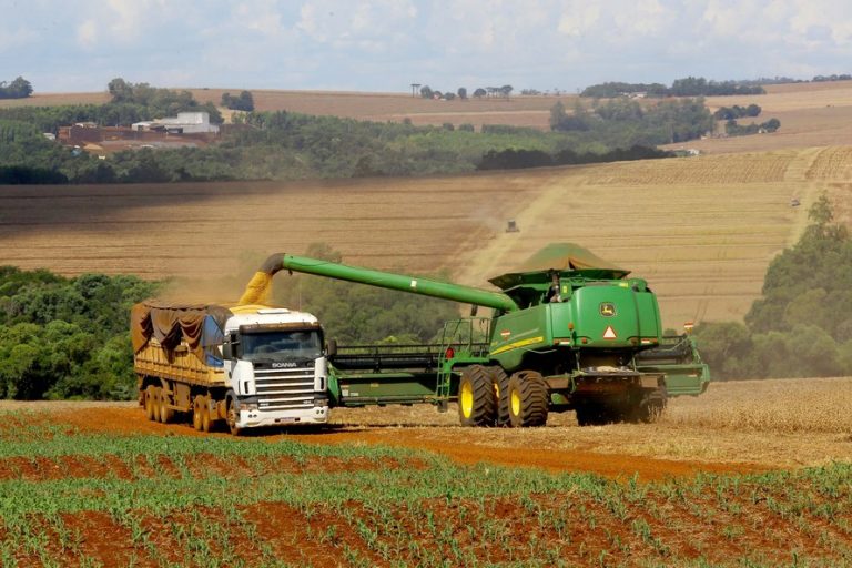 Agropecuária - plantações - soja grãos agricultura fazendas rurais campo produção máquinas agrícolas exportações PIB comércio exterior (colheita da safra 2020 de soja no Paraná)