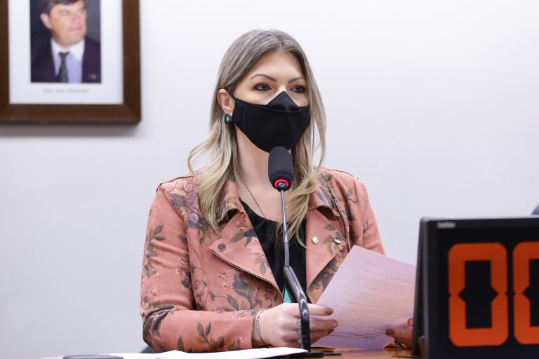 Deputada Aline Sleutjes (PSL-PR)