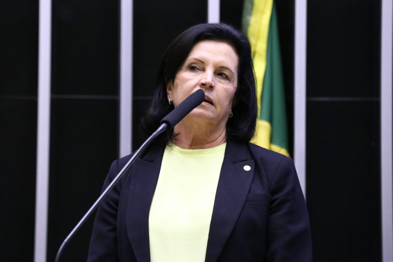 Angela Amin discursa no plenário