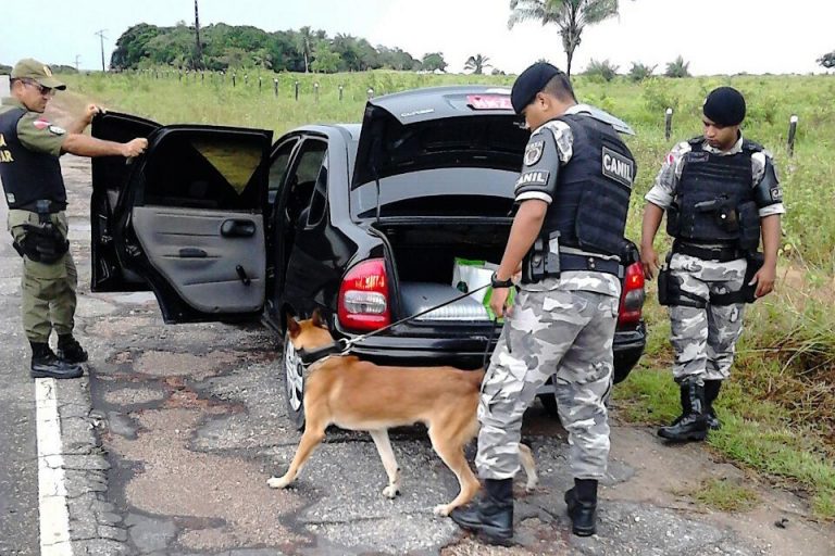 Segurança - drogas - abordagem policial cão farejador blitz tráfico rodovias