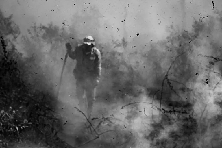 Meio Ambiente - Queimada e desmatamento - Incêndio no pantanal mato-grossense - mato grosso - desastre ambiental