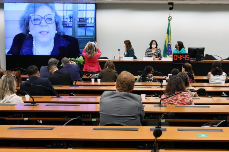 I Encontro Internacional Observatórios da Mulher na Política – Esp. Agraciada, Salete Silva Sommariva