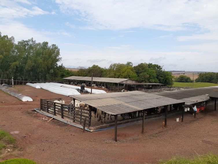 Produção do biogás na granja Colombari 