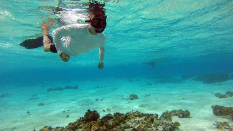 Meio Ambiente - água - oceanos mares mergulho paraíso ecológico biodiversidade espécies (reserva biológica Atol das Rocas, litoral do Rio Grande do Norte)