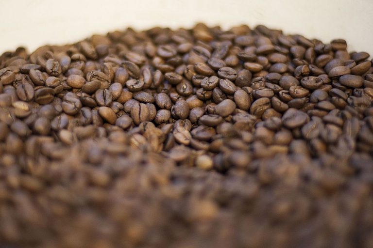 Agropecuária - geral - café grãos