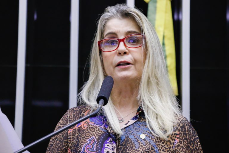 Discussão e votação de propostas. Dep. Soraya Manato PSL-ES