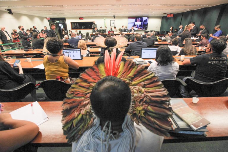 Audiência Pública – Esclarecimentos sobre a morte de crianças da etnia Yanomami