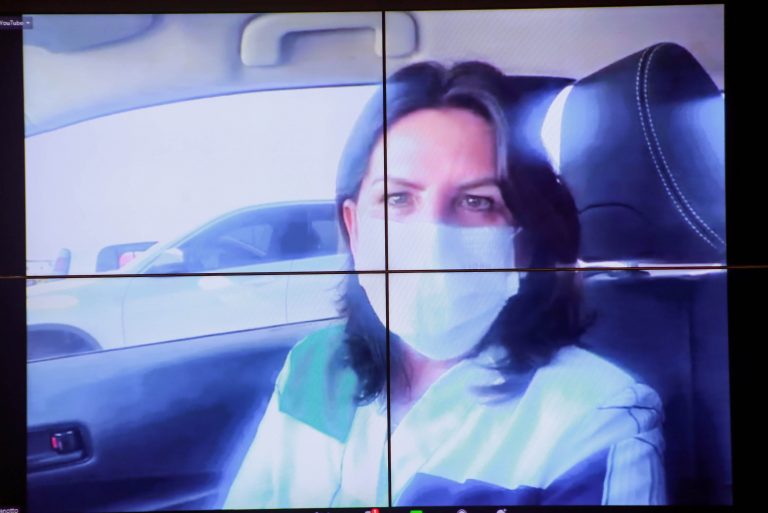 Audiência Pública - A Violência Política contra as Mulheres. Dep. Carmem Zanotto CIDADANIA-SC