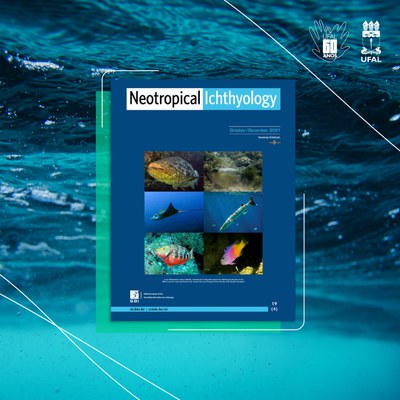 context/imageCaption