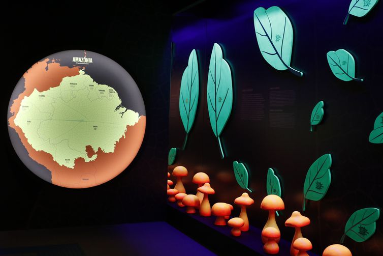 Exposição Fruturos - Tempos Amazônicos no Museu do Amanhã, no Rio de Janeiro