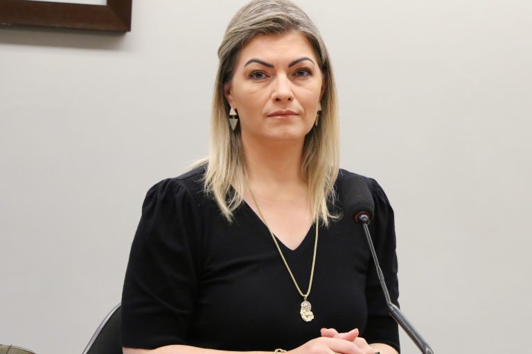Comissão de Agricultura, Pecuária, Abastecimento e Desenvolvimento Rural (CAPADR). Dep. Aline Sleutjes PSL-PR