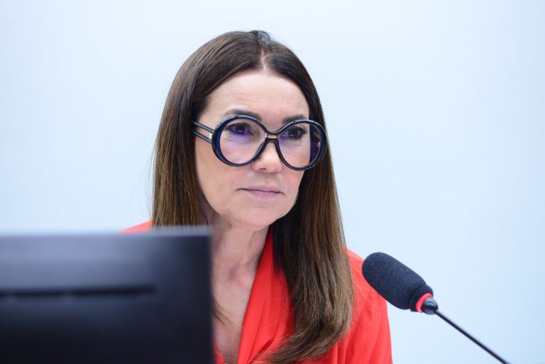 Apreciação das emendas ao Substitutivo do Relator. Dep. Margarete Coelho PP-PI