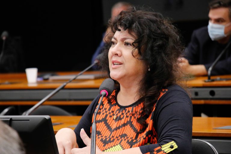 Audiência Pública - Calendário do Exame Toxicológico de Larga Janela de Detecção Periódico. Dep. Christiane de Souza Yared PL-PR