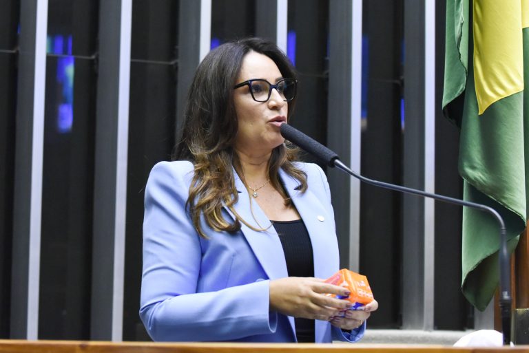 Discussão e votação de propostas. Dep. Rejane Dias PT-PI