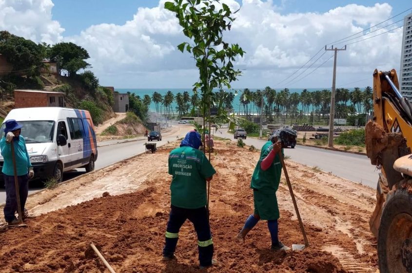 Servidores da Sudes realizam o plantio de palmeiras rabo-de-peixe na Rota do Mar. Foto: Ascom Sudes