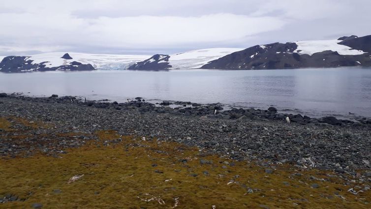 Estação Comandante Ferraz, base de pesquisa do Brasil na Antártica
