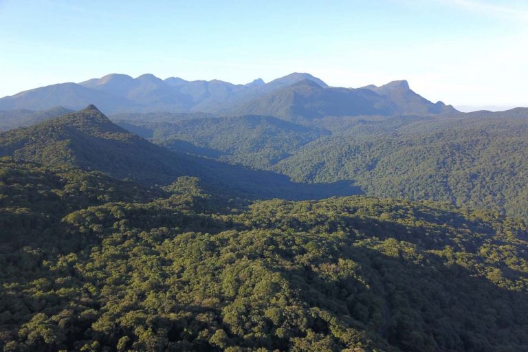 Meio Ambiente - parques e florestas - bioma Mata Atlântica nativa preservação ambiental remanescentes (Mata Atlântica na Serra do Mar, Paraná)
