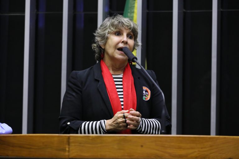 Deputada Erika Kokay discursa no Plenário da Câmara