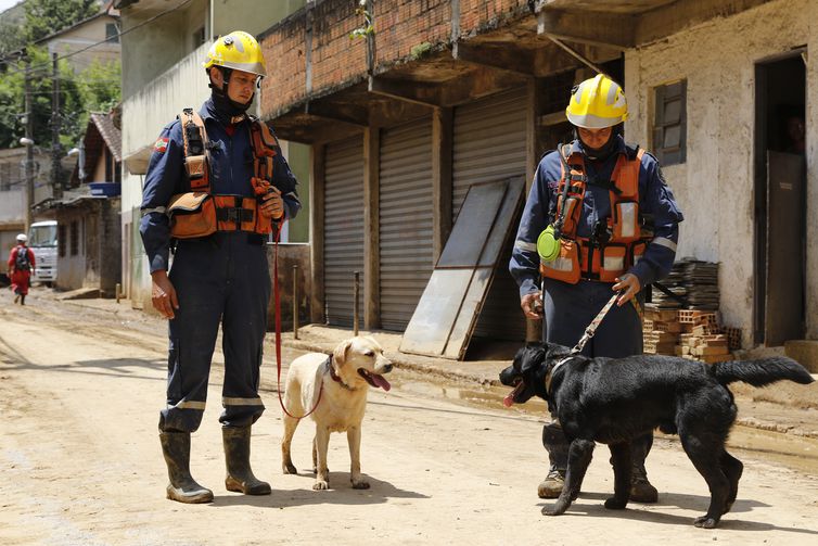 Os bombeiros de Santa Catarina Thiago Amorim e Guilherme Galli trabalham com os cães farejadores da raça labrador Moana e Sasuke na busca por vítimas do deslizamento de terra no Morro da Oficina, após as chuvas em Petrópolis.