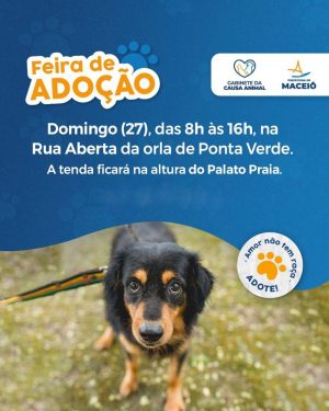 Gabinete Causa animal estimula adoção responsável