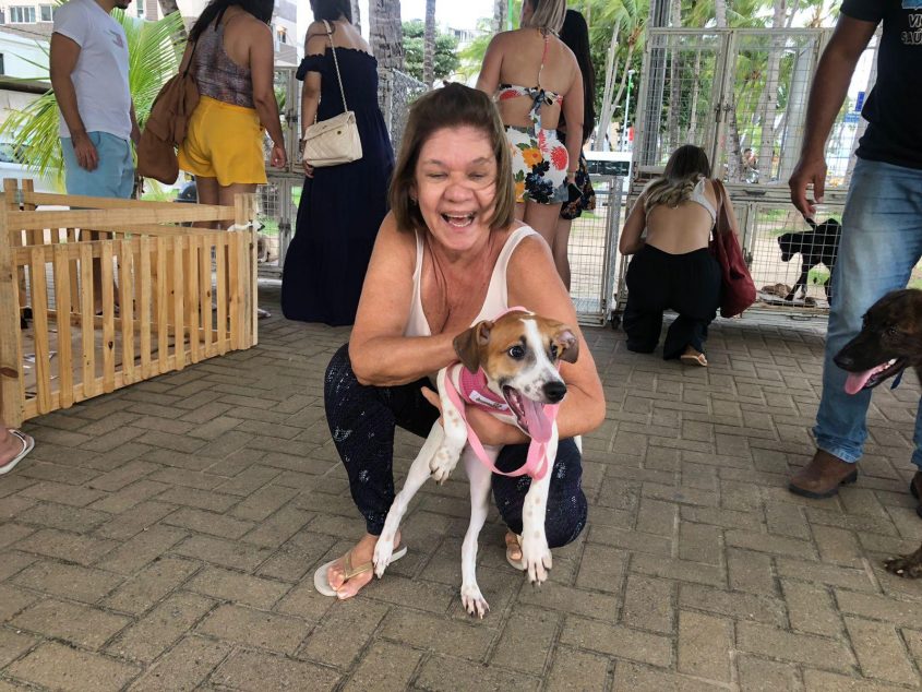 A cadela Belinha foi adotada em uma das edições da Feira de Adoção da Prefeitura. Foto: Ascom GGI Causa Animal