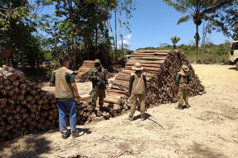 Meio Ambiente - queimada e desmatamento - madeireiras Floresta Amazônica Amazônia destruição (apreensão de madeiras em fiscalização no interior do Pará, 10/8/20)
