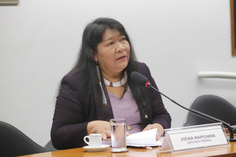 Painel - Mulheres Indígenas na Política: Avanços e Conquistas. Dep. Joenia Wapichana REDE-RR