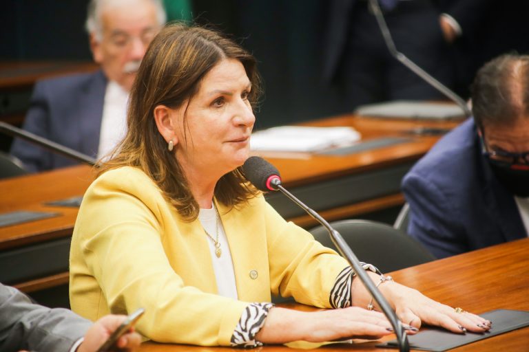 Instalação dos trabalhos e eleição de Presidente e Vice-Presidente. Dep. Carmen Zanotto CIDADANIA - SC