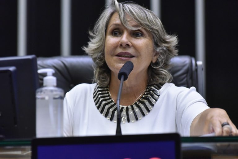 Deputada Erika Kokay discursa no Plenário da Câmara