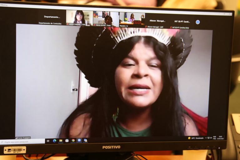 Audiência Pública - Proteção dos direitos das crianças e das mulheres indígenas. Sônia Guajajara - COORDENADORA EXECUTIVA DA ARTICULAÇÃO DOS POVOS INDÍGENAS DO BRASIL - APIB