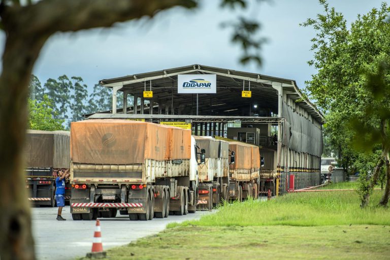 Caminhões enfileirados na entrada de um porto