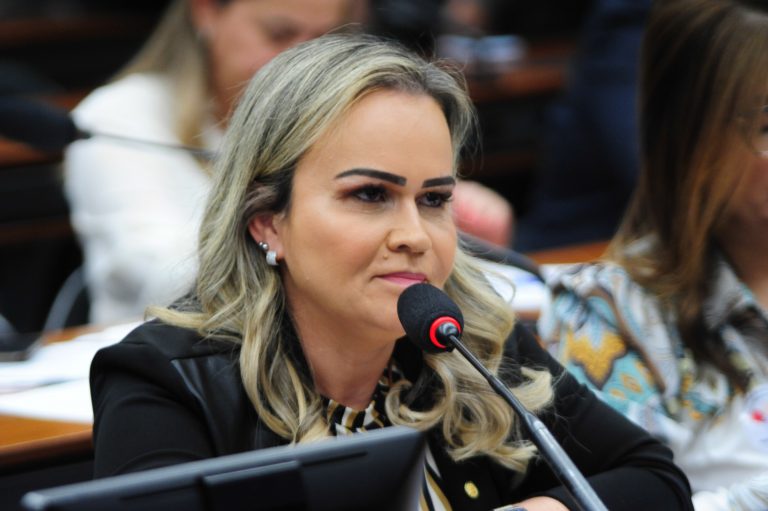 Deputada Daniela do Waguinho fala ao microfone