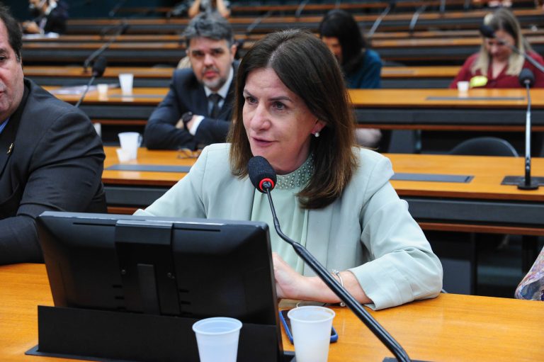 Carmen Zanotto em reunião de comissão