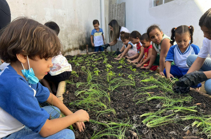 Horta irá gerar alimento para a merenda. Foto: Ascom Sudes