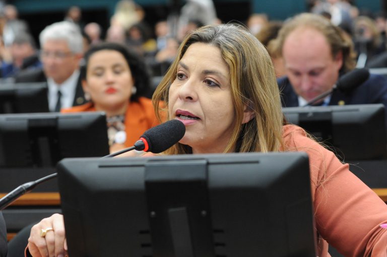 Discussão e votação de propostas legislativas. Dep. Eliza Virgínia PP-PB