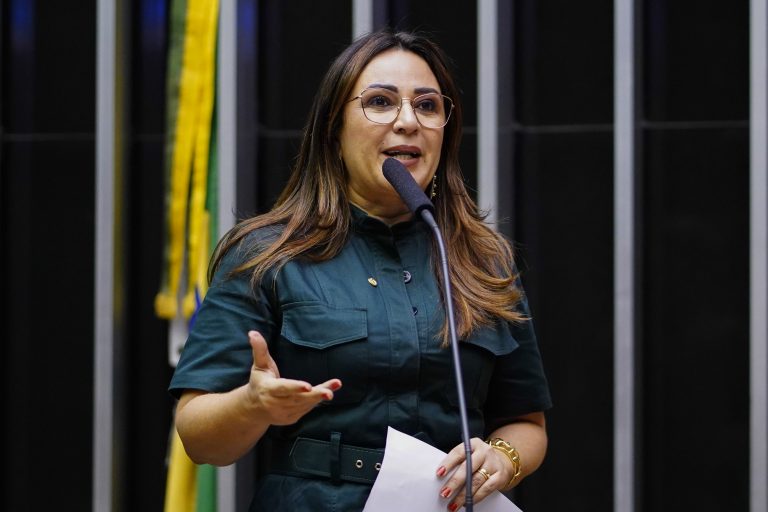 Deputada Rejane Dias discursa no plenário