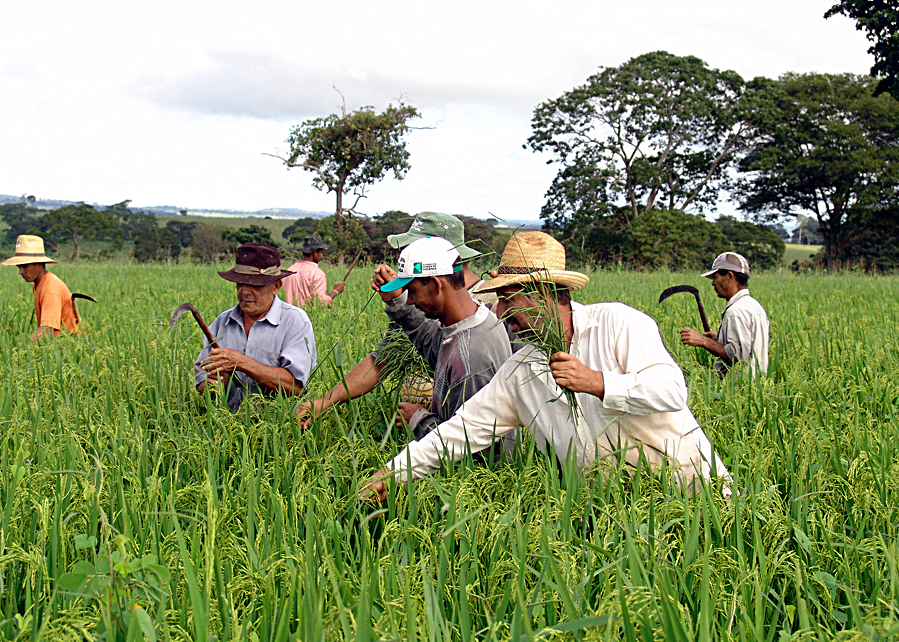 2017 04 07 Em Mineiros Emater realiza Dia de Campo da Agricultura Familiar