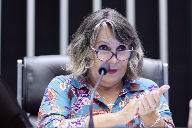 Homenagem aos Trabalhadores de Serviços Gerais e de Manutenção. Dep. Erika Kokay (PT - DF)