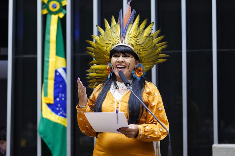 Deputada Célia Xakriabá