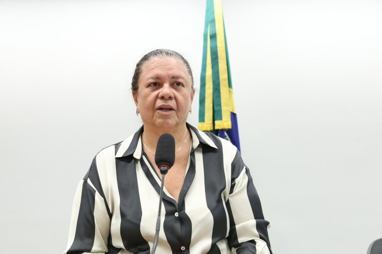 Reunião de Instalação e Eleição do Presidente e Vice-Presidente. Dep. Laura Carneiro (PSD - RJ)