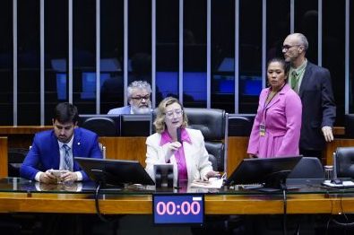 Sessão Deliberativa. Dep. Maria do Rosário (PT - RS)