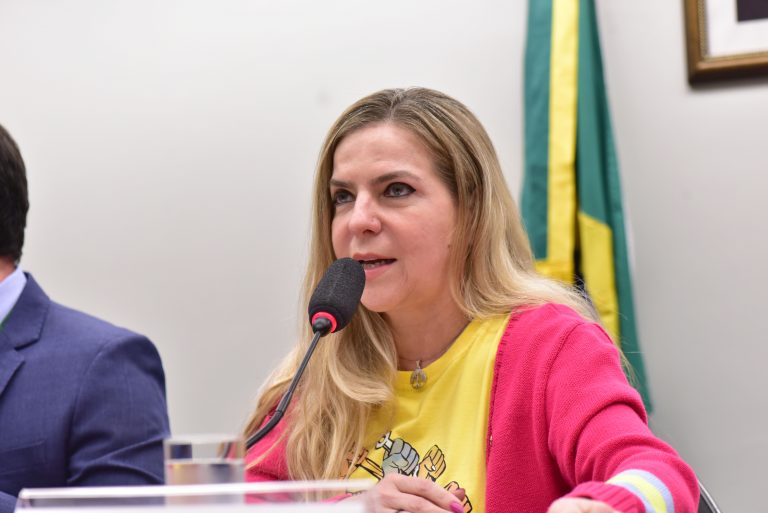 Audiência Pública aberta com representações da sociedade civil, movimentos sociais e agentes públicos com atuação em direitos humanos. Dep. Luizianne Lins (PT - CE)
